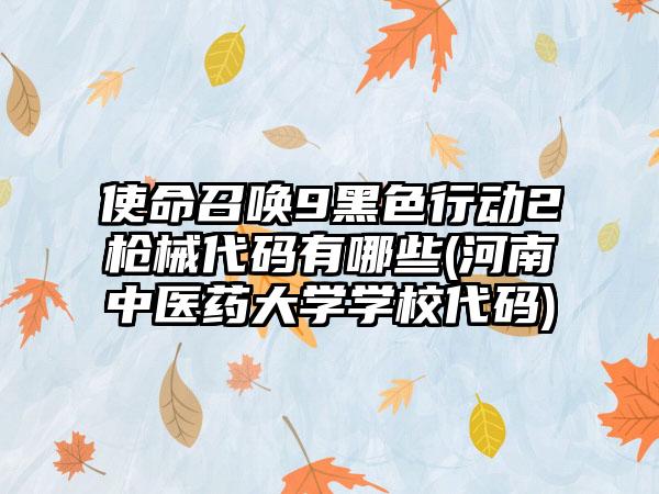 使命召唤9黑色行动2枪械代码有哪些(河南中医药大学学校代码)