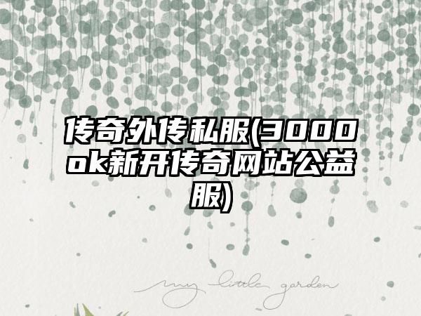 传奇外传私服(3000ok新开传奇网站公益服)