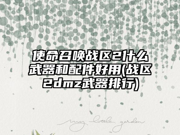 使命召唤战区2什么武器和配件好用(战区2dmz武器排行)