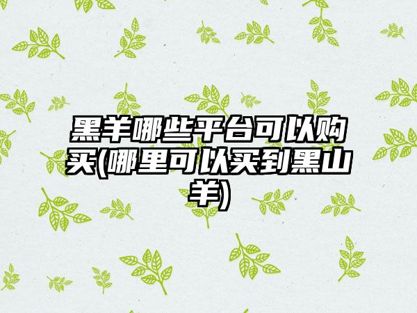 黑羊哪些平台可以购买(哪里可以买到黑山羊)