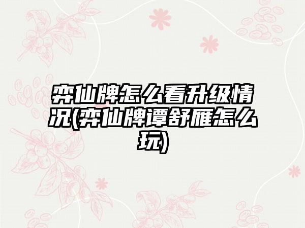 弈仙牌怎么看升级情况(弈仙牌谭舒雁怎么玩)