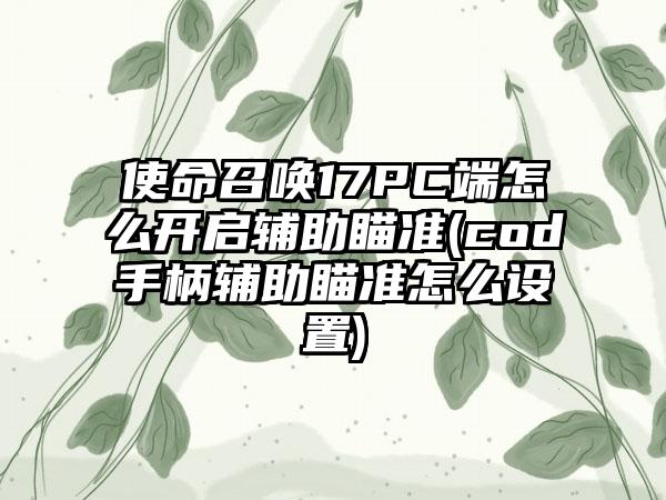 使命召唤17PC端怎么开启辅助瞄准(cod手柄辅助瞄准怎么设置)