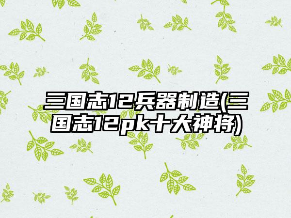 三国志12兵器制造(三国志12pk十大神将)