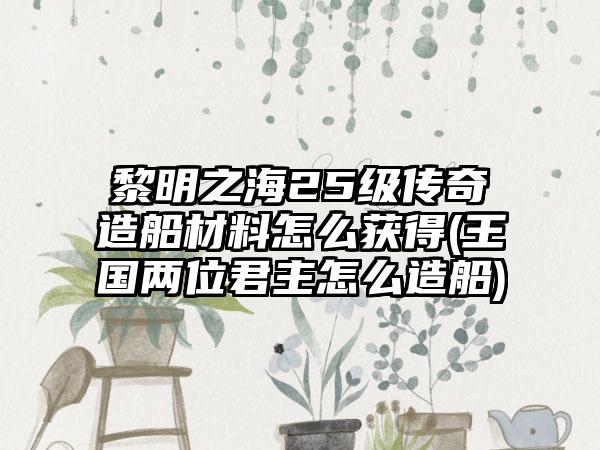 黎明之海25级传奇造船材料怎么获得(王国两位君主怎么造船)