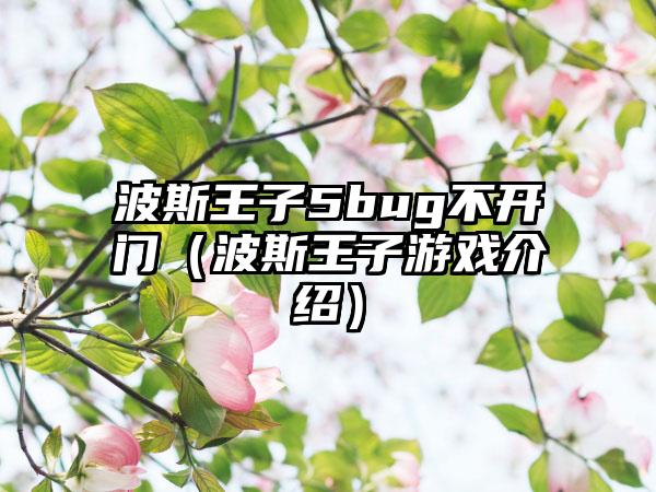 波斯王子5bug不开门（波斯王子游戏介绍）