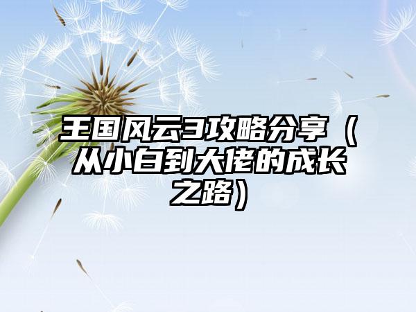 王国风云3攻略分享（从小白到大佬的成长之路）