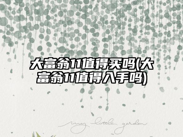 大富翁11值得买吗(大富翁11值得入手吗)