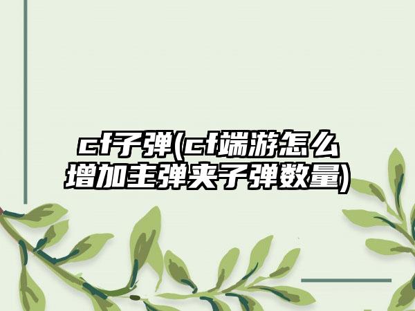 cf子弹(cf端游怎么增加主弹夹子弹数量)