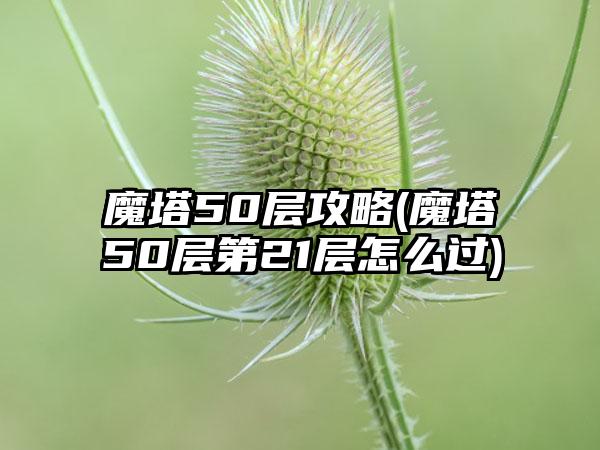 魔塔50层攻略(魔塔50层第21层怎么过)