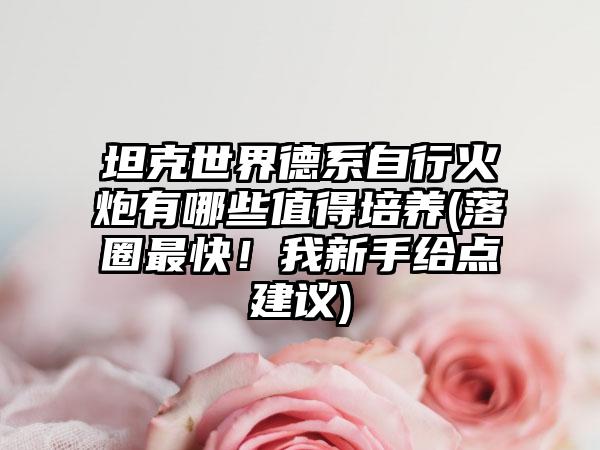 坦克世界德系自行火炮有哪些值得培养(落圈最快！我新手给点建议)