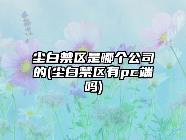 尘白禁区是哪个公司的(尘白禁区有pc端吗)