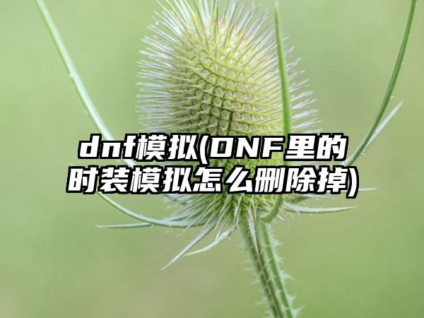 dnf模拟(DNF里的时装模拟怎么删除掉)
