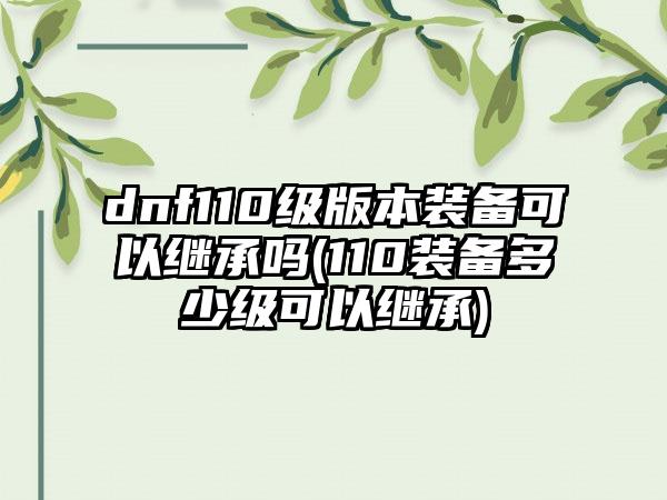 dnf110级版本装备可以继承吗(110装备多少级可以继承)