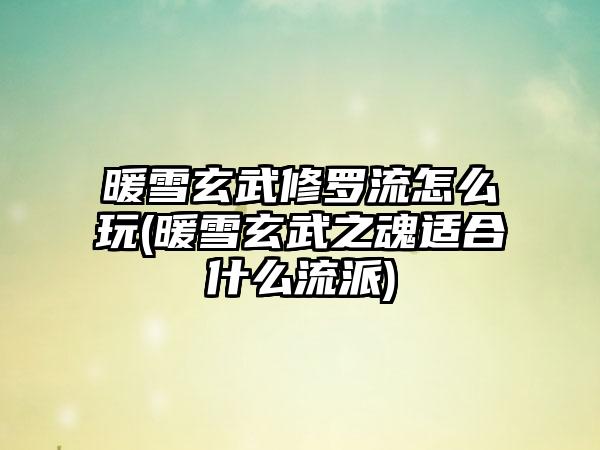 暖雪玄武修罗流怎么玩(暖雪玄武之魂适合什么流派)