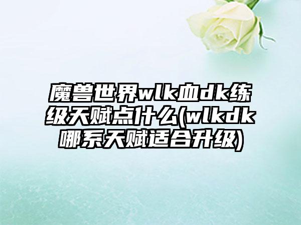 魔兽世界wlk血dk练级天赋点什么(wlkdk哪系天赋适合升级)