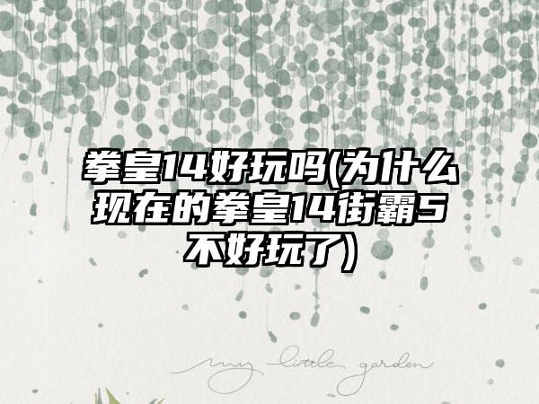 拳皇14好玩吗(为什么现在的拳皇14街霸5不好玩了)