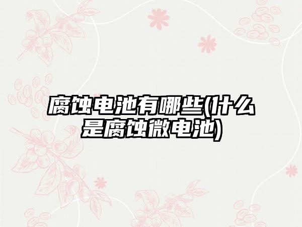 腐蚀电池有哪些(什么是腐蚀微电池)