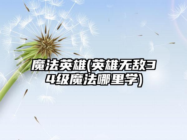 魔法英雄(英雄无敌34级魔法哪里学)