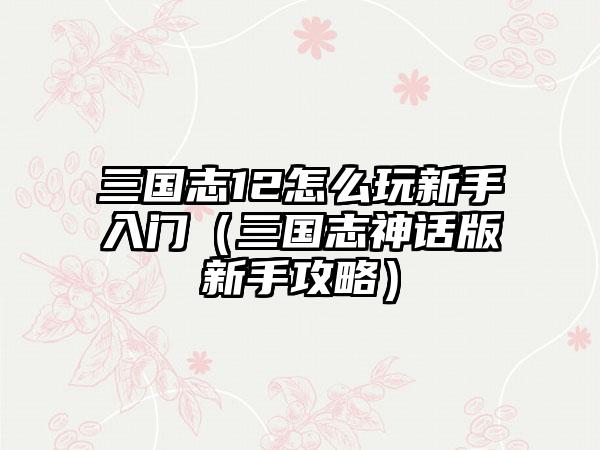 三国志12怎么玩新手入门（三国志神话版新手攻略）
