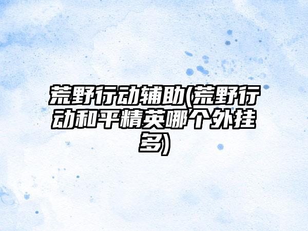 荒野行动辅助(荒野行动和平精英哪个外挂多)