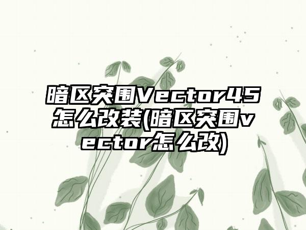 暗区突围Vector45怎么改装(暗区突围vector怎么改)