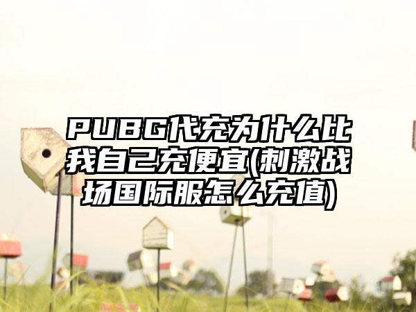 PUBG代充为什么比我自己充便宜(刺激战场国际服怎么充值)