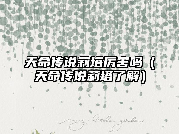 天命传说莉塔厉害吗（天命传说莉塔了解）