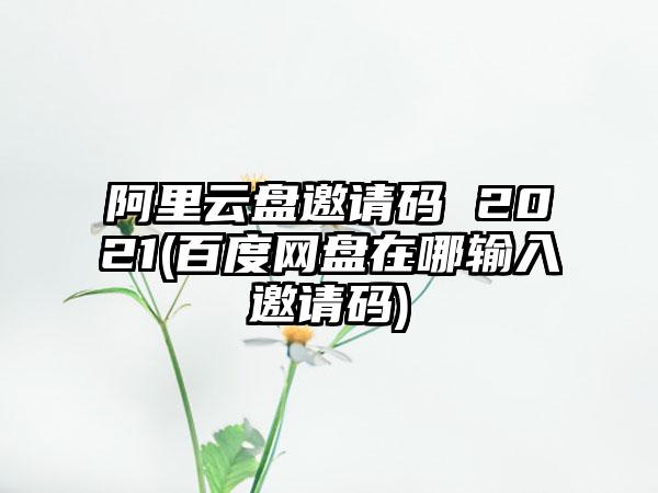 阿里云盘邀请码 2021(百度网盘在哪输入邀请码)