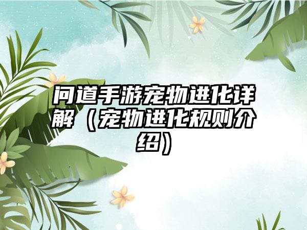 问道手游宠物进化详解（宠物进化规则介绍）