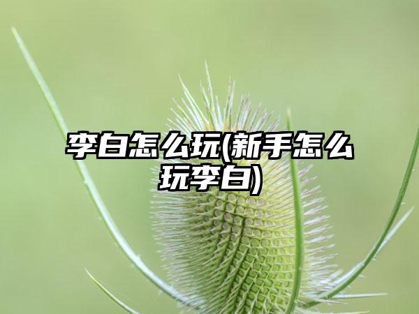 李白怎么玩(新手怎么玩李白)