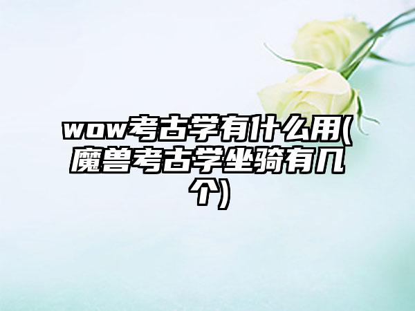 wow考古学有什么用(魔兽考古学坐骑有几个)