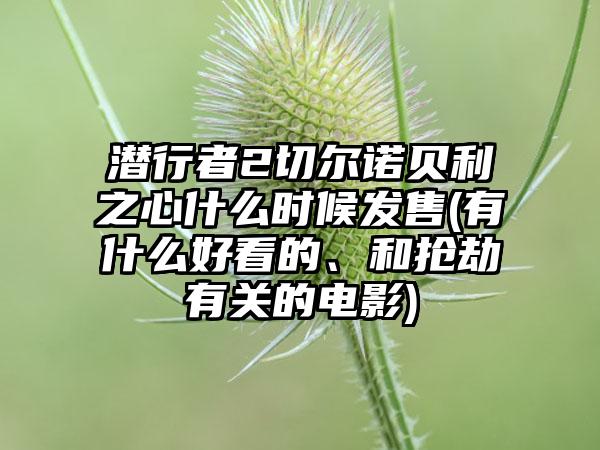 潜行者2切尔诺贝利之心什么时候发售(有什么好看的、和抢劫有关的电影)