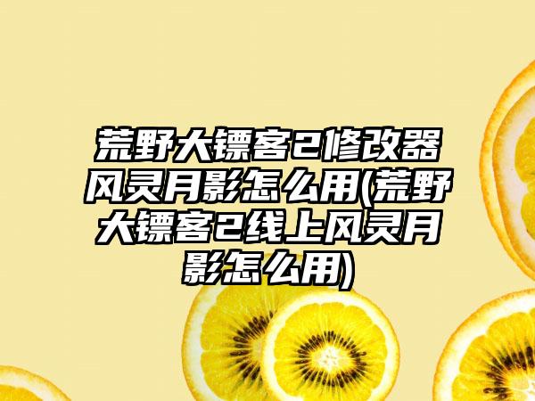 荒野大镖客2修改器风灵月影怎么用(荒野大镖客2线上风灵月影怎么用)