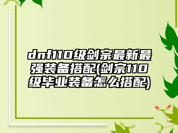 dnf110级剑宗最新最强装备搭配(剑宗110级毕业装备怎么搭配)