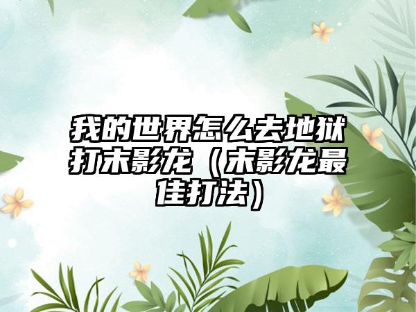 我的世界怎么去地狱打末影龙（末影龙最佳打法）