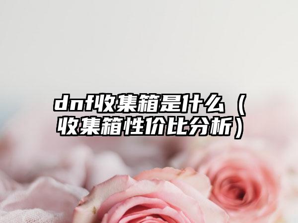 dnf收集箱是什么（收集箱性价比分析）