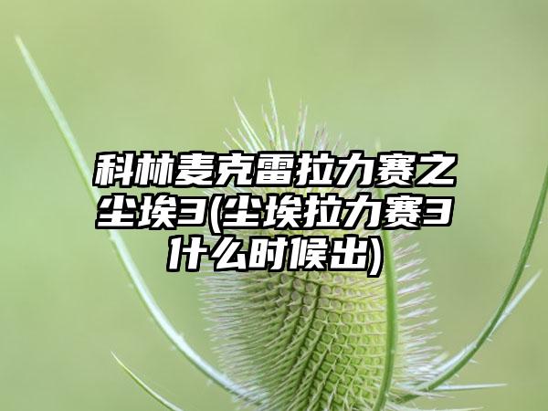 科林麦克雷拉力赛之尘埃3(尘埃拉力赛3什么时候出)