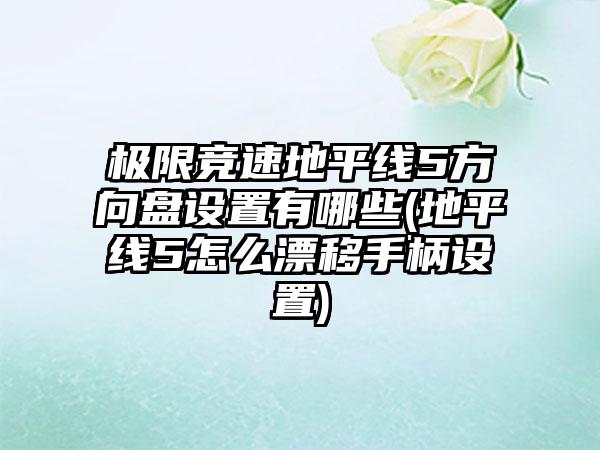 极限竞速地平线5方向盘设置有哪些(地平线5怎么漂移手柄设置)