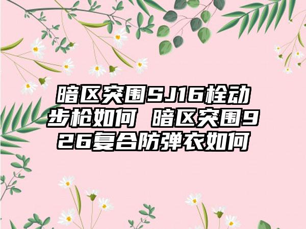 暗区突围SJ16栓动步枪如何 暗区突围926复合防弹衣如何