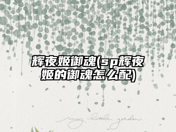 辉夜姬御魂(sp辉夜姬的御魂怎么配)