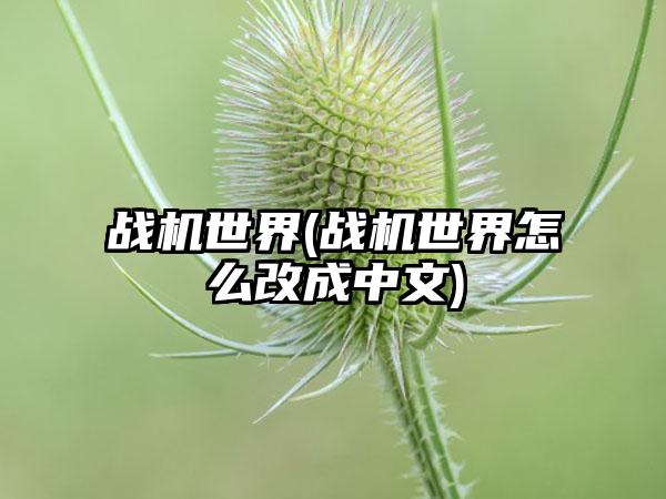 战机世界(战机世界怎么改成中文)