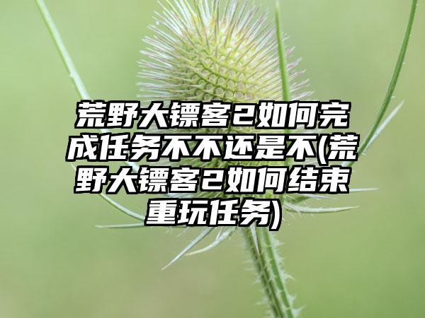 荒野大镖客2如何完成任务不不还是不(荒野大镖客2如何结束重玩任务)