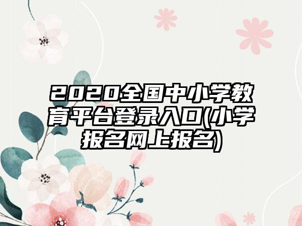 2020全国中小学教育平台登录入口(小学报名网上报名)