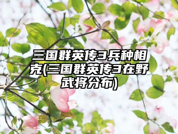 三国群英传3兵种相克(三国群英传3在野武将分布)