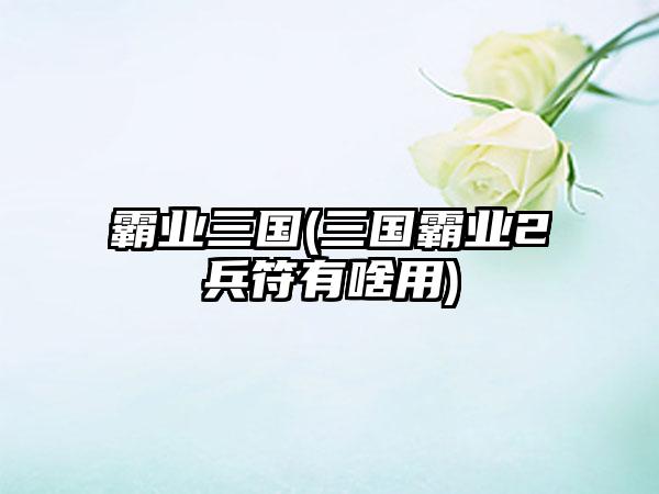 霸业三国(三国霸业2兵符有啥用)