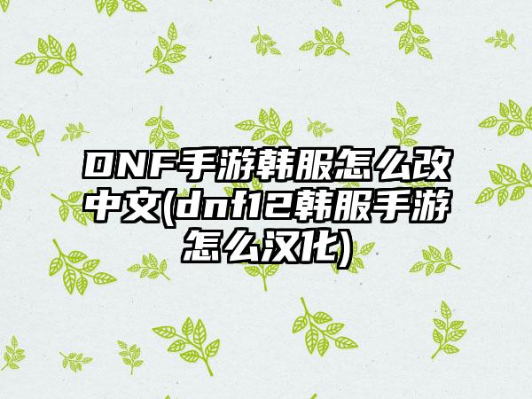 DNF手游韩服怎么改中文(dnf12韩服手游怎么汉化)
