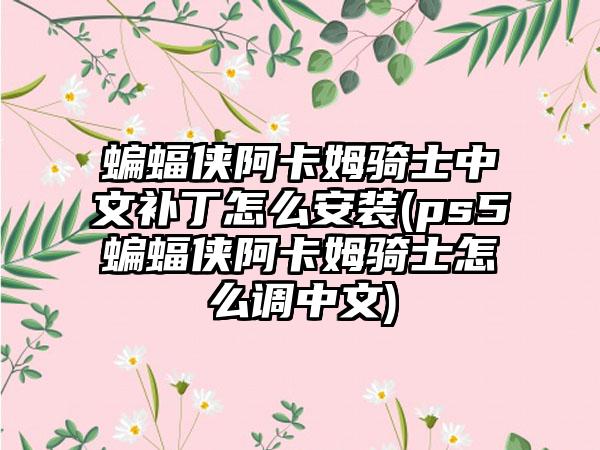 蝙蝠侠阿卡姆骑士中文补丁怎么安装(ps5蝙蝠侠阿卡姆骑士怎么调中文)