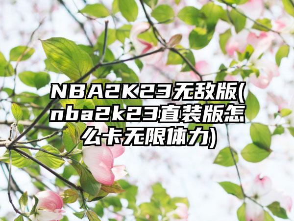 NBA2K23无敌版(nba2k23直装版怎么卡无限体力)