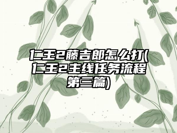 仁王2藤吉郎怎么打(仁王2主线任务流程第三篇)
