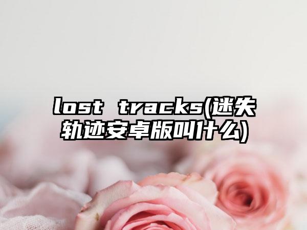lost tracks(迷失轨迹安卓版叫什么)